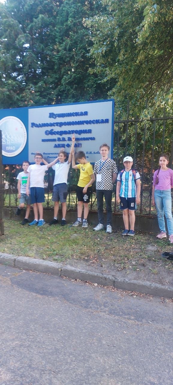 Шахматные сборы
